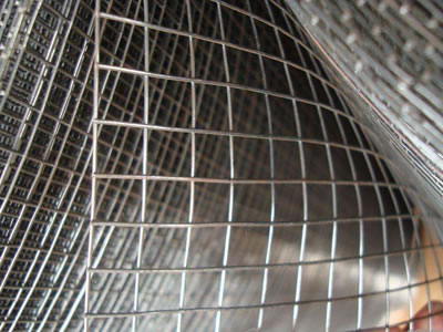 Galvanized Welded Wire Mesh